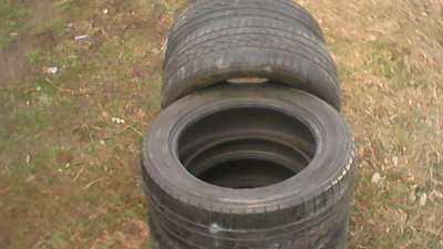 IMG_20140301_093944.jpg
