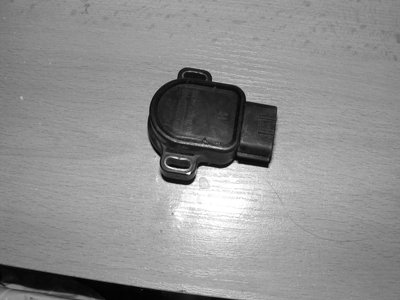DSCF7456.JPG
