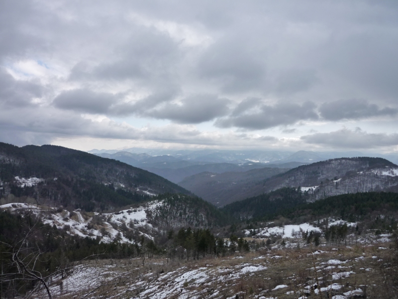 P10002951.JPG