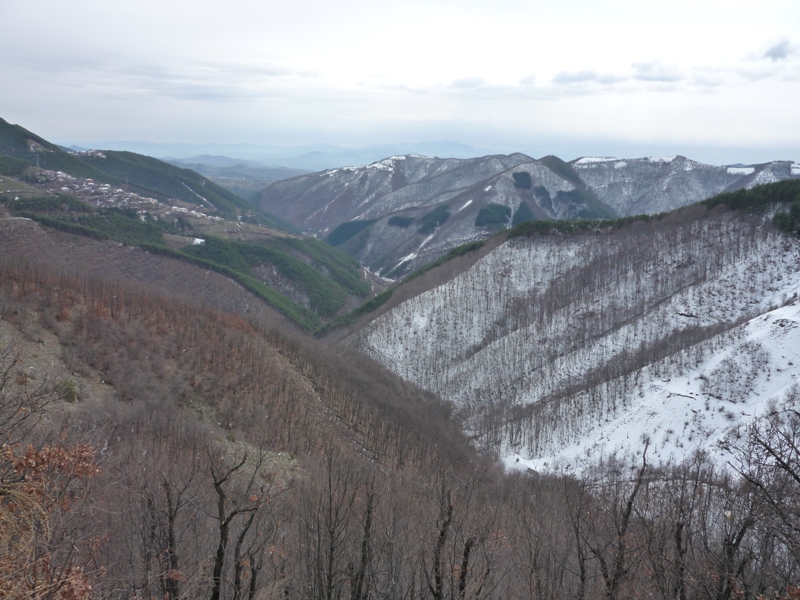 P10002371.JPG