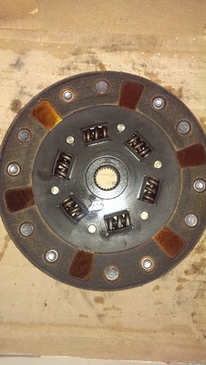 IMAG0822.jpg