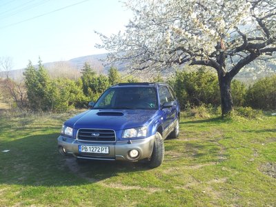 20140331_180300.jpg