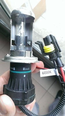 IMAG0610.jpg