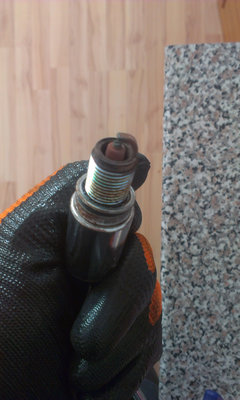 IMAG0460.jpg
