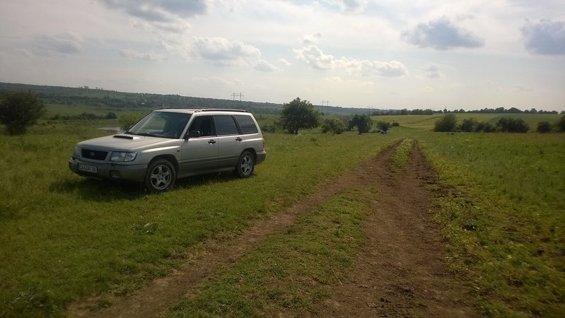 WP_20140524_008.jpg