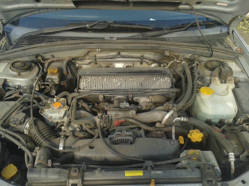 20140710_180600.jpg
