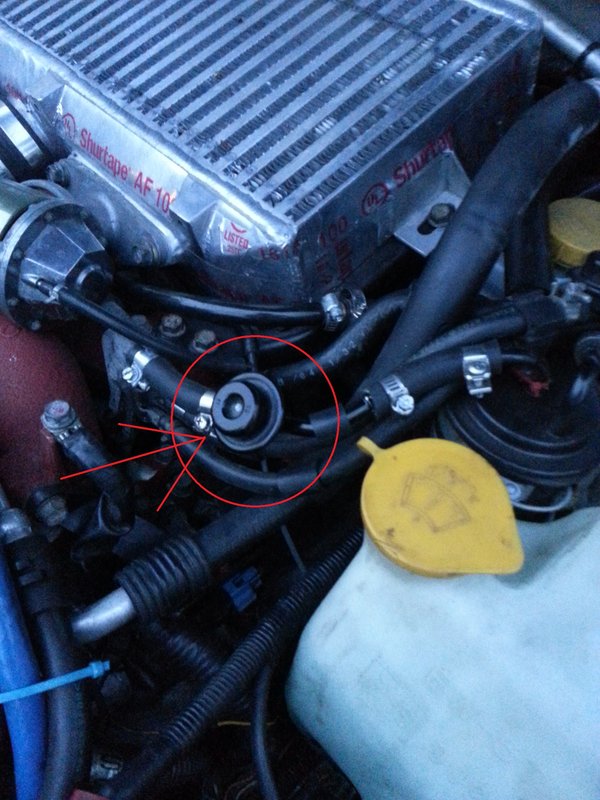 2012-09-04-19-31-22.jpg