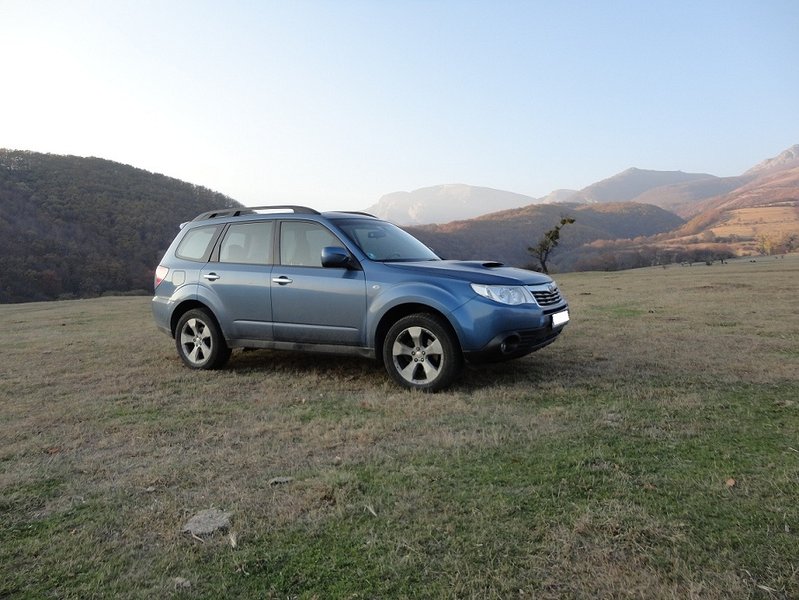 FORESTER3.jpg
