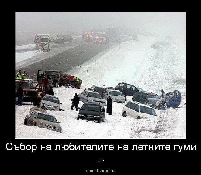гуми.jpg