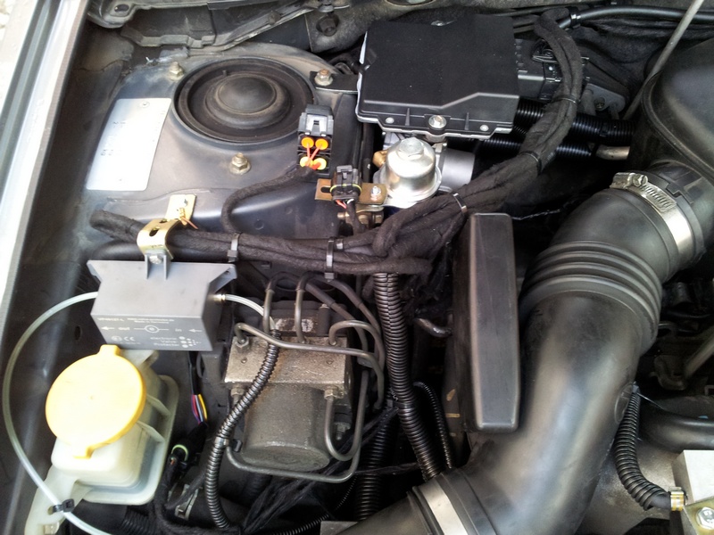 20141031_122712.jpg
