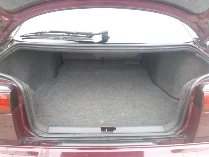 15Trunk.jpg