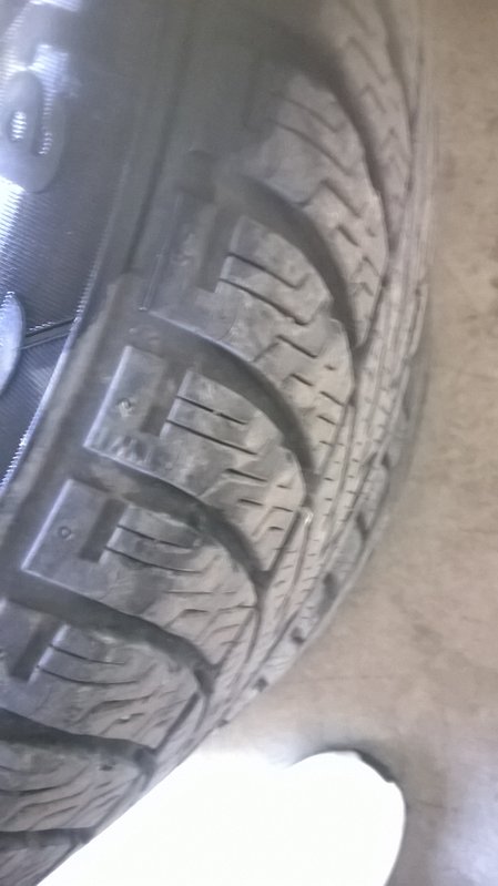 WP_20140519_009.jpg