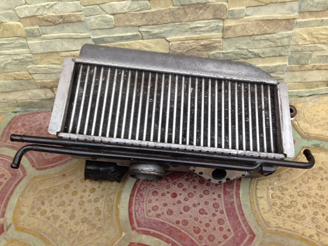 IMG_3242.JPG