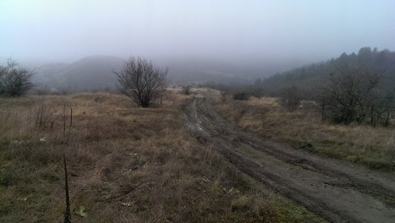 IMAG0224.jpg