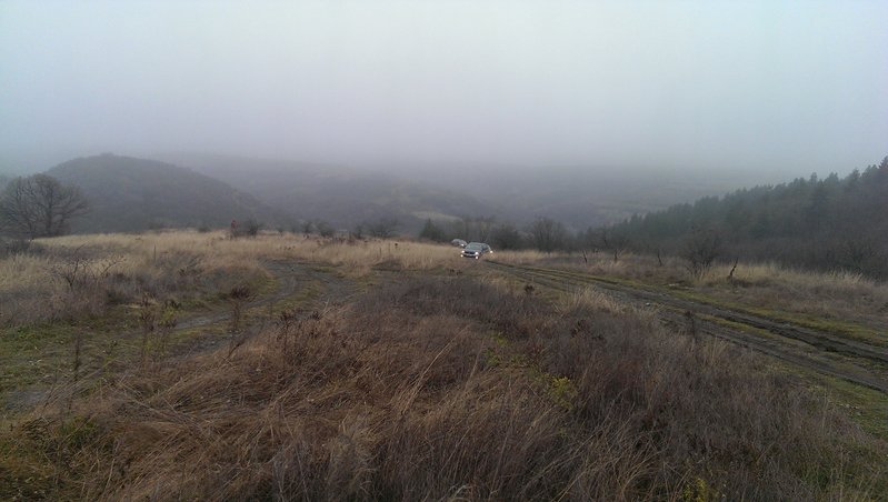 IMAG0230.jpg