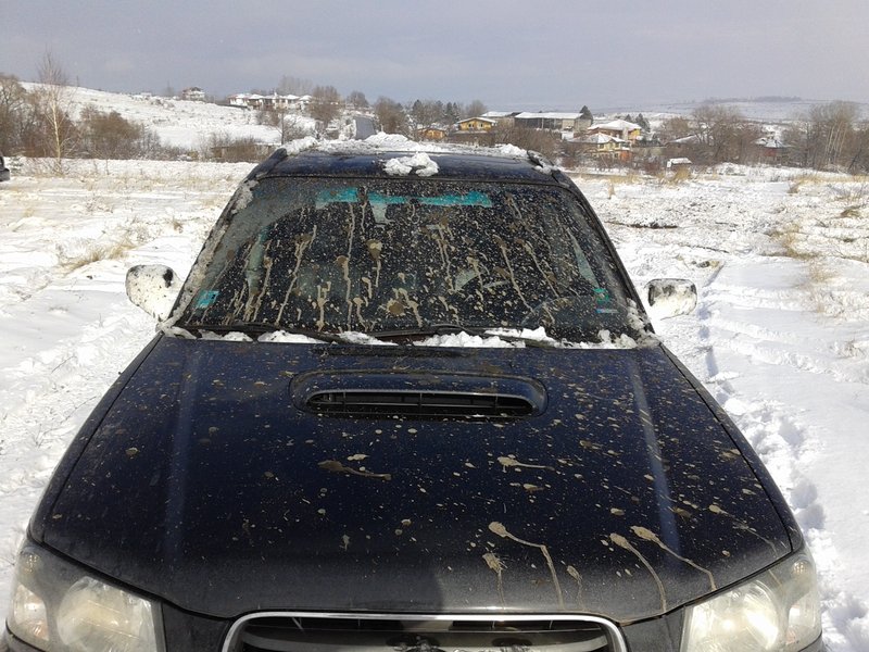 20141227_132223.jpg