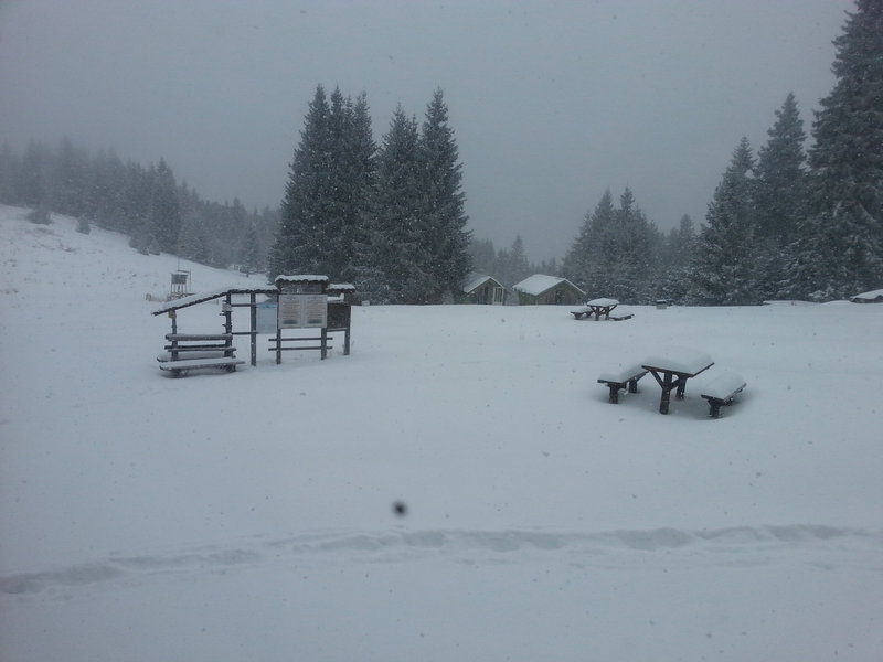 20141227_123408.jpg