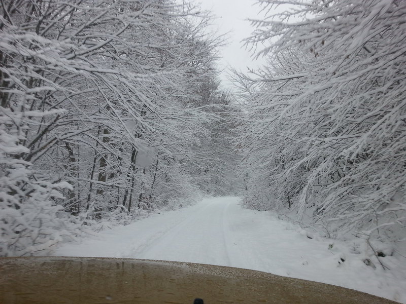 20141227_111151.jpg