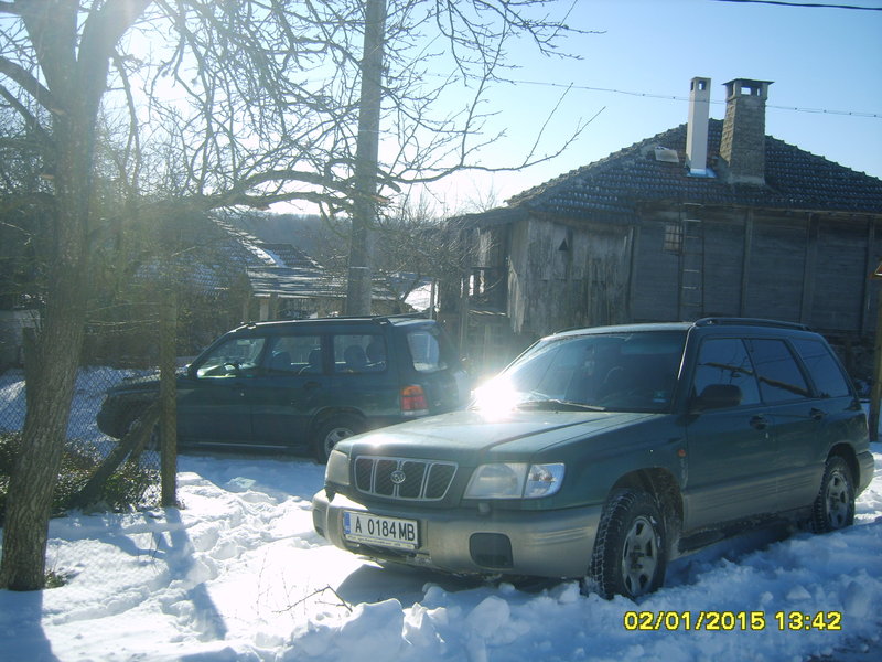 XL800683.JPG
