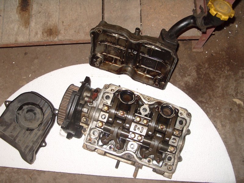 S1051672 (Large).JPG