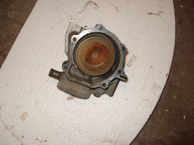 S1051673 (Large).JPG