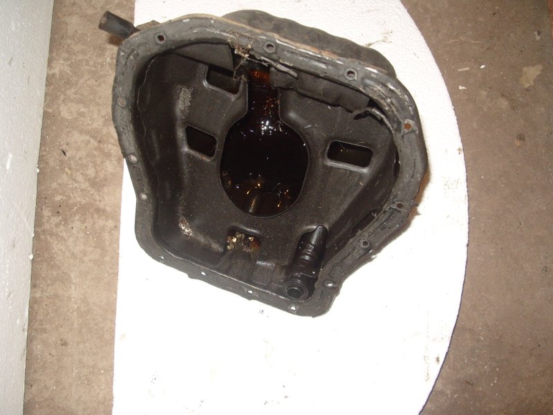 S1051691 (Large).JPG