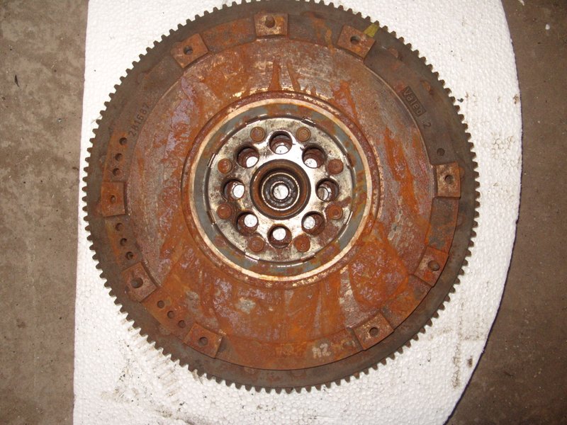S1051692 (Large).JPG