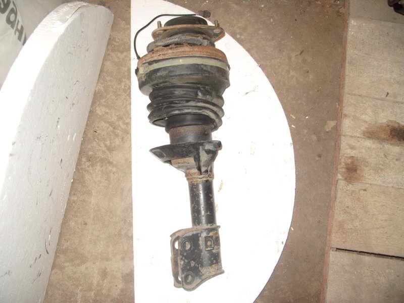 S1051684 (Large).JPG