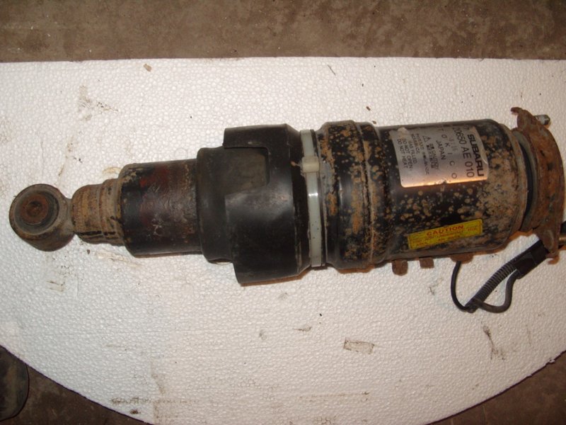 S1051687 (Large).JPG