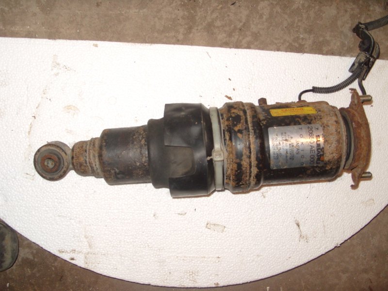 S1051689 (Large).JPG