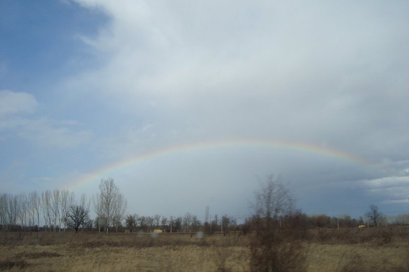 DSC08480.jpg
