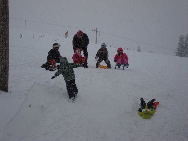 DSC08469.jpg