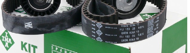 INA Belt.jpg