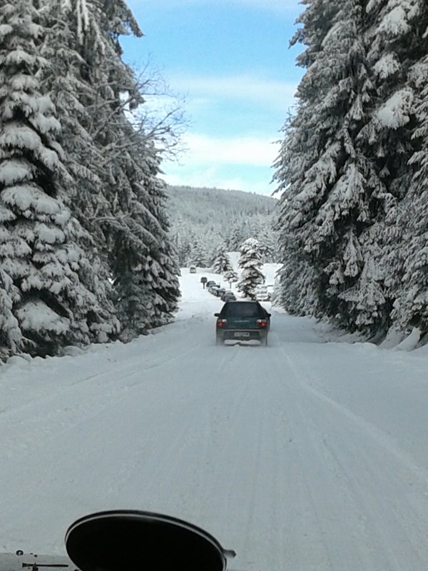20150131_103824.jpg