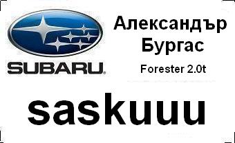 subaru_badg_saskuuu_car_city_2015.JPG