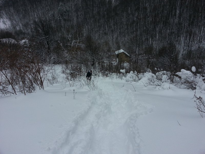 20150308_130328.jpg