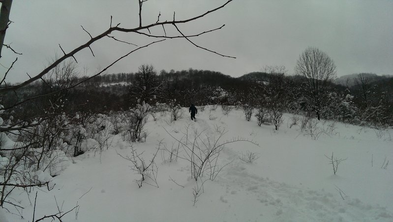 IMAG0015.jpg