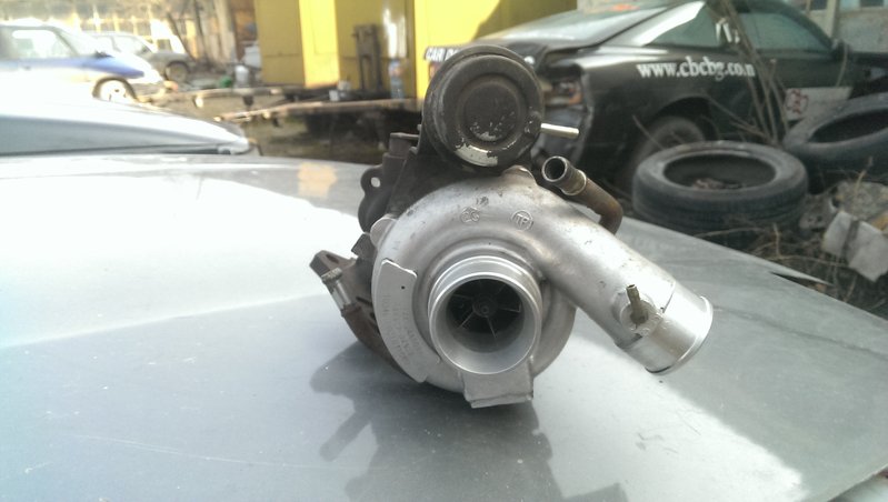 IMAG0880.jpg