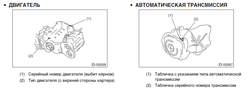 Номер ДВГ и АСК Трибека.png