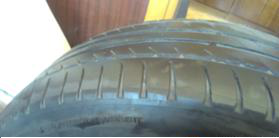 w1429087380956116_1.pic.png