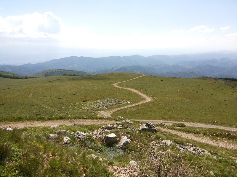 04.jpg