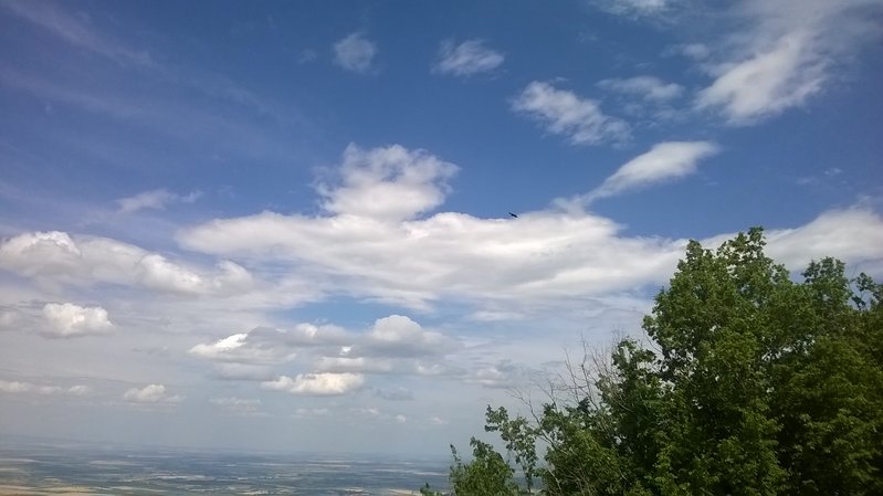 2.WP_20150616_003.jpg