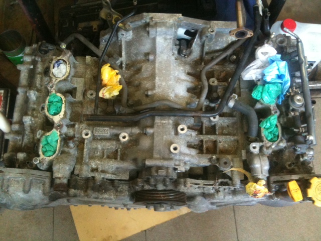 photo 1.JPG