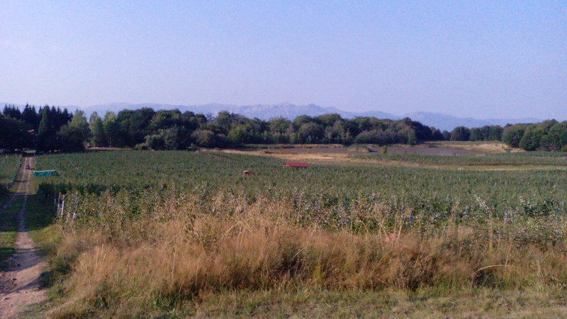 IMG_20150830_180434.jpg