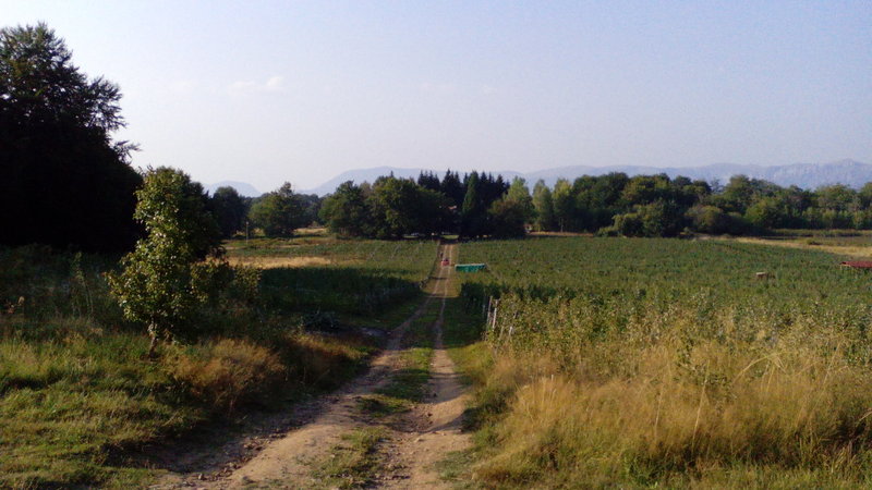 IMG_20150830_180431.jpg