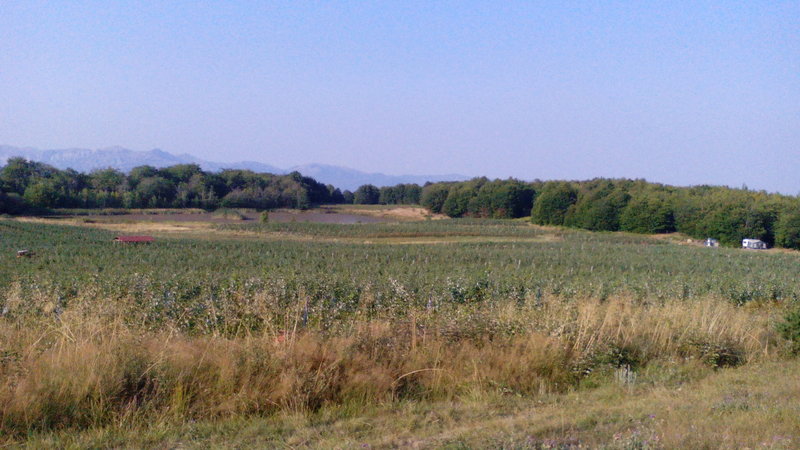 IMG_20150830_180427.jpg