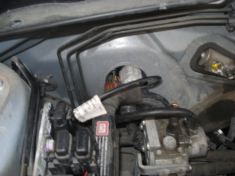 DSC00005.JPG