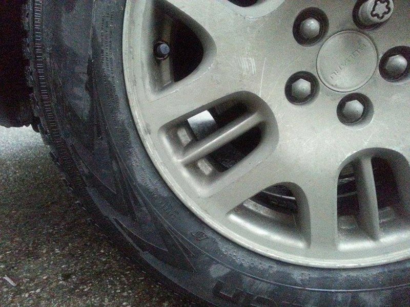 12165807_10205065368140125_946369441_n.jpg
