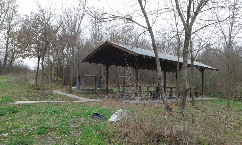 20151209_125223.gif
