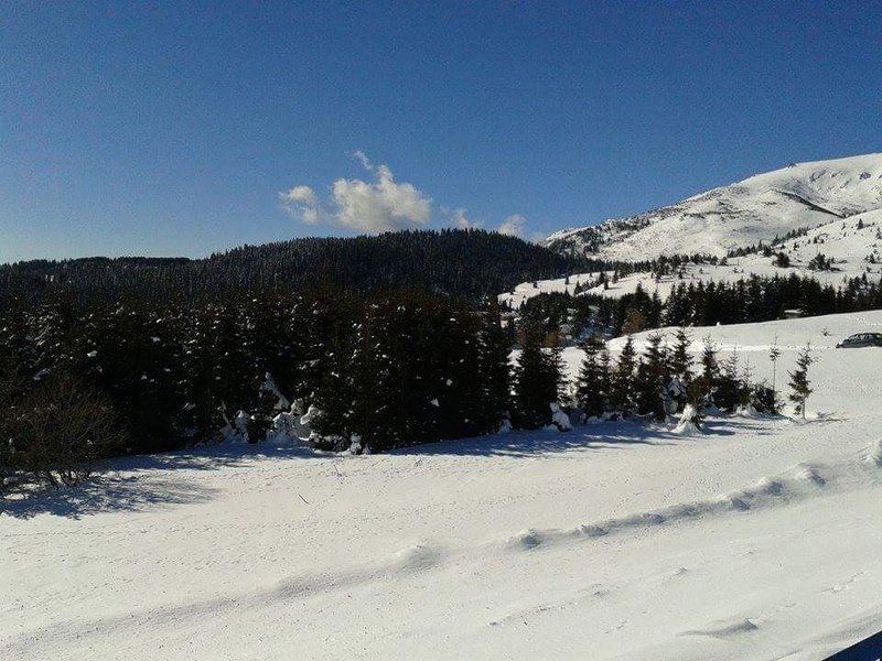 received_436843023181912.jpeg